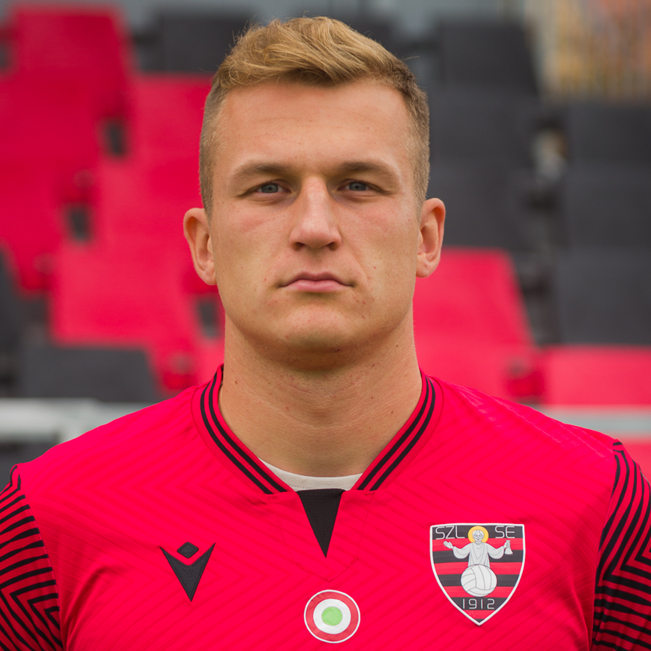 Kapcsolattartó képe